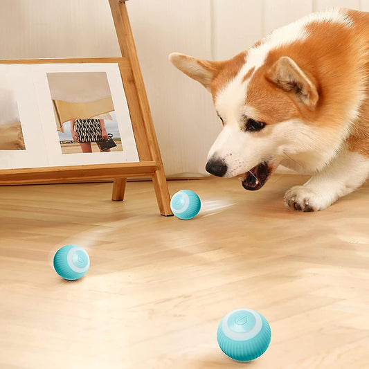 Smart Electronic Dog Toy Ball